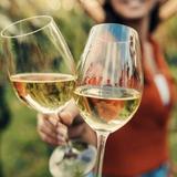 Santa Barbara Wine Tours