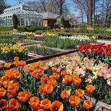 Dixon Gardens