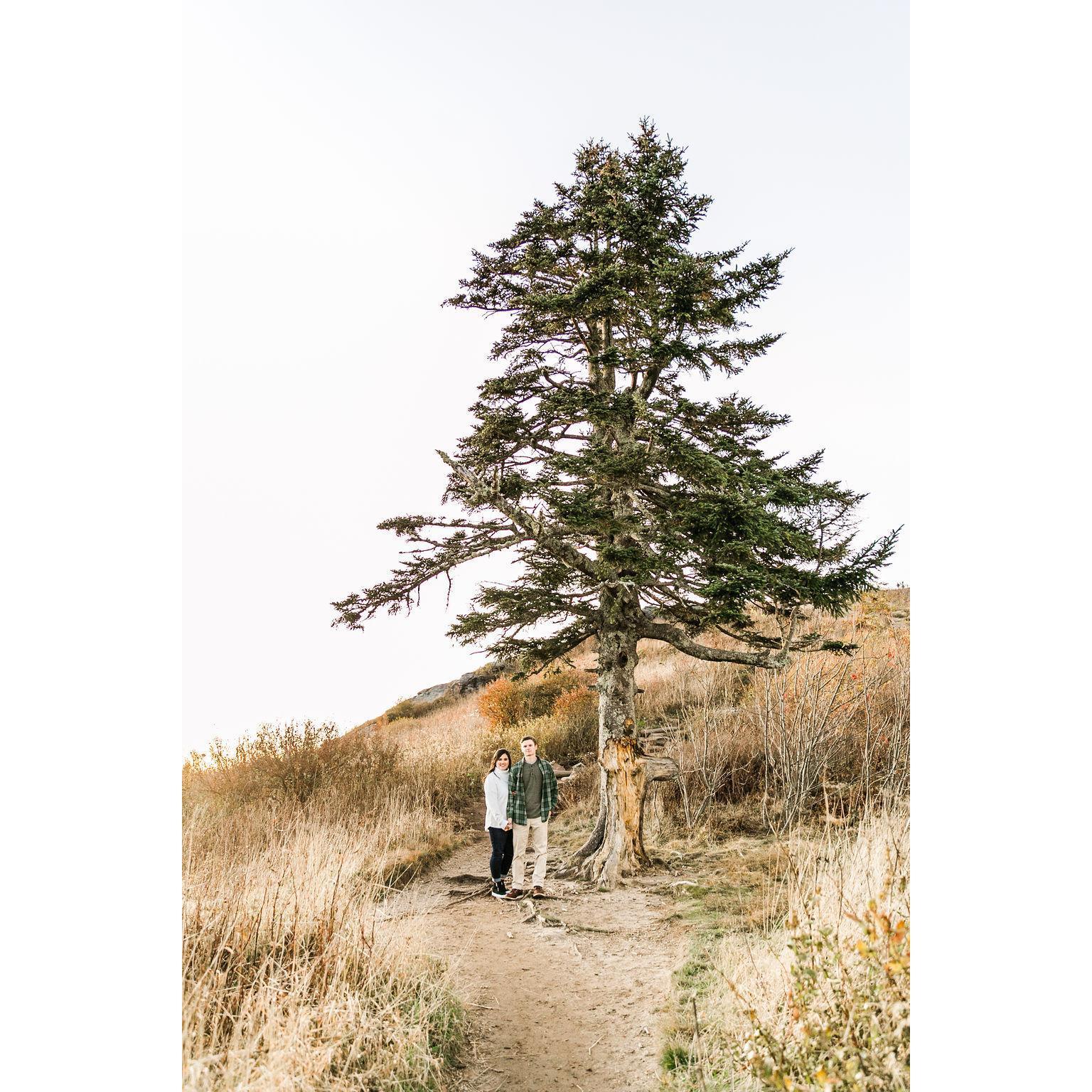 Engagement photos in the mountains. 

Photographer: Amber Hatley Photography