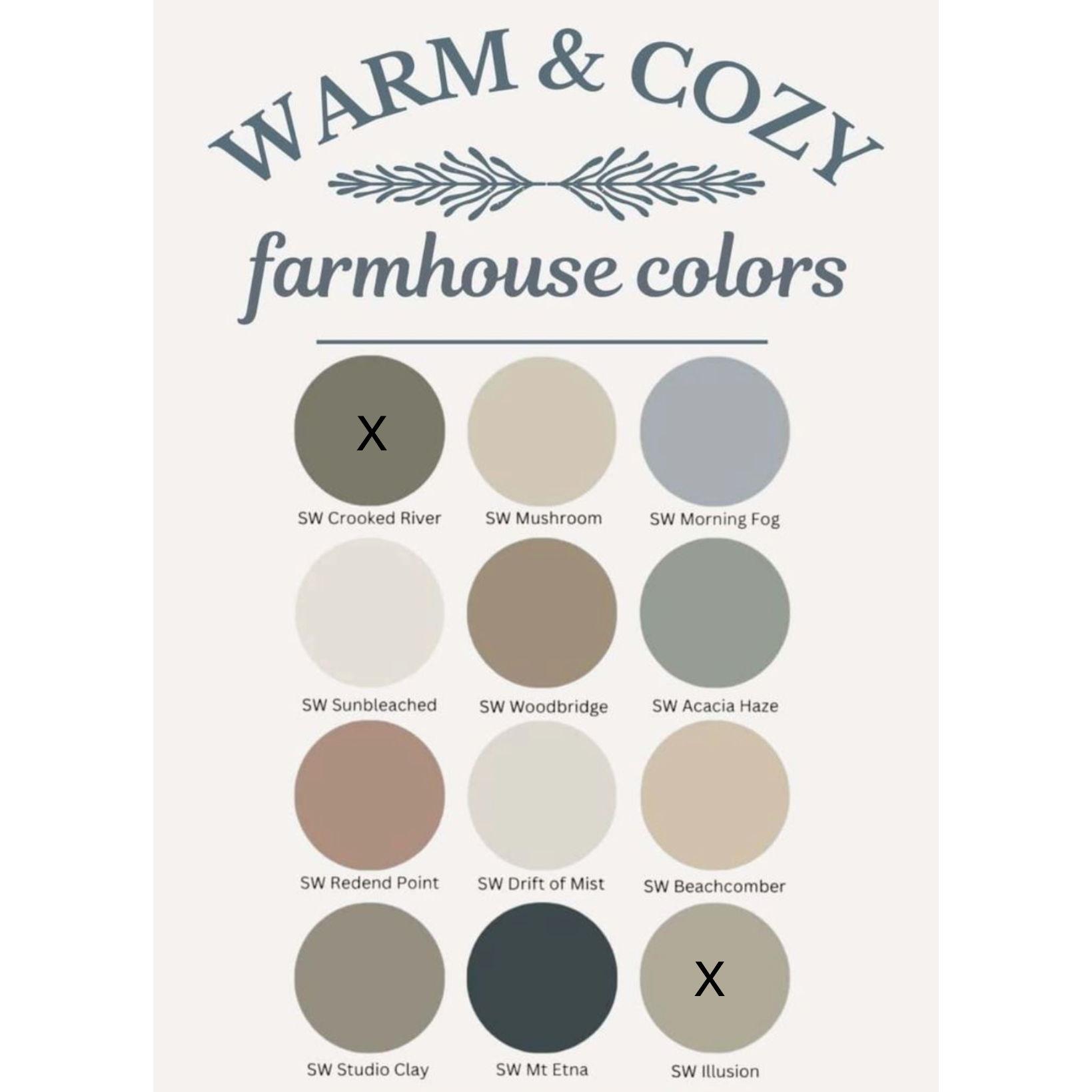 Guest Color Scheme - Only solid colors, please no patterns or green.