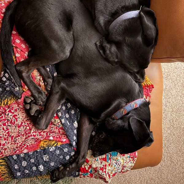 Tucker and Rufus Fund