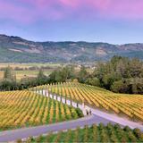 Wineries