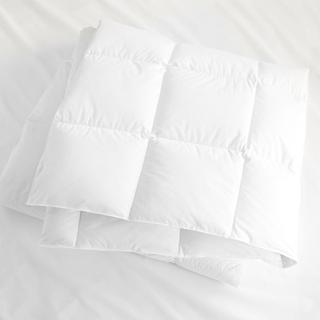Organic Down Duvet Insert
