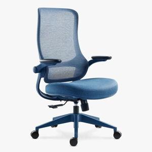 Resistance Color Ergonomic Office Chair- BLUE