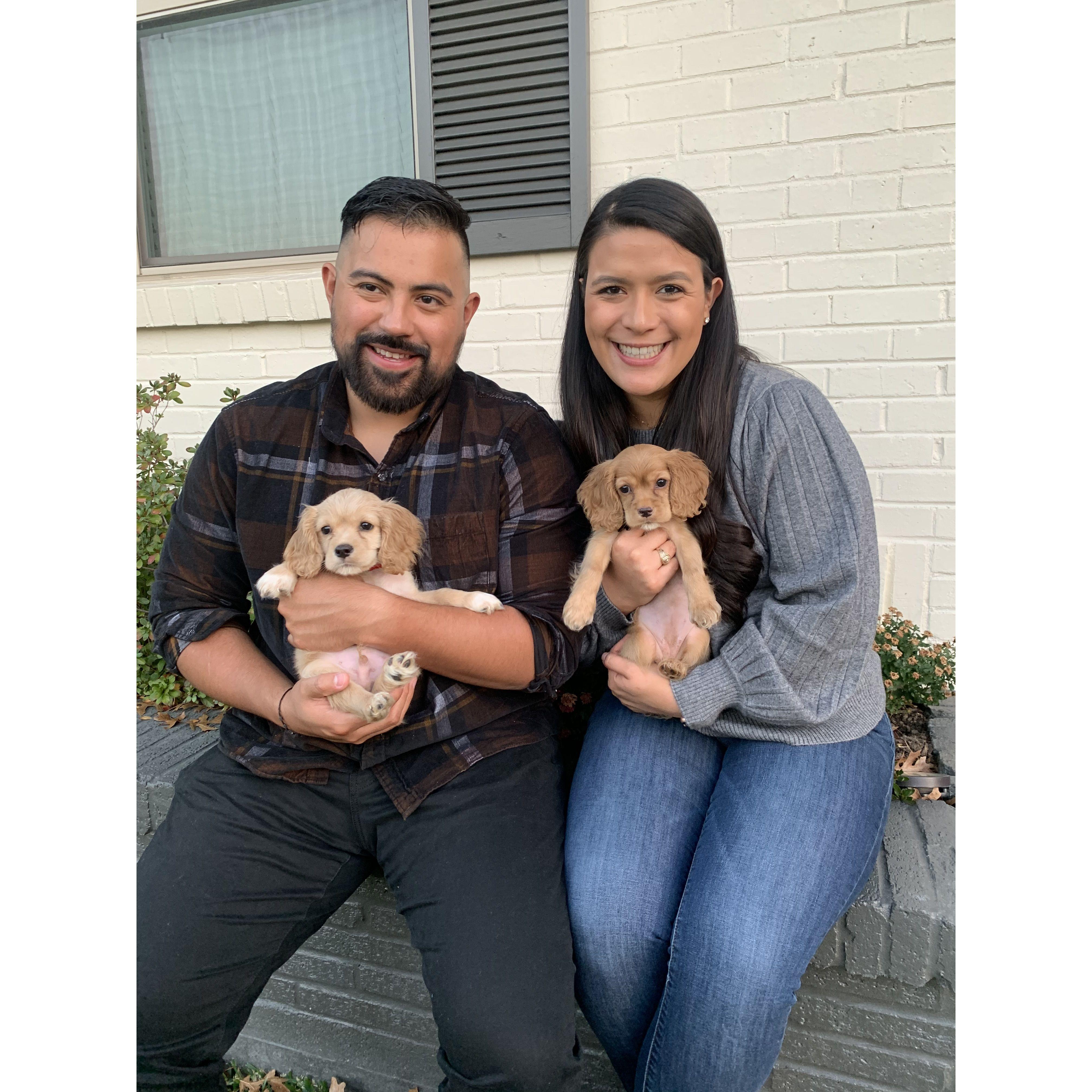 Our first Thanksgiving with our pups