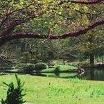 Memphis Botanic Garden