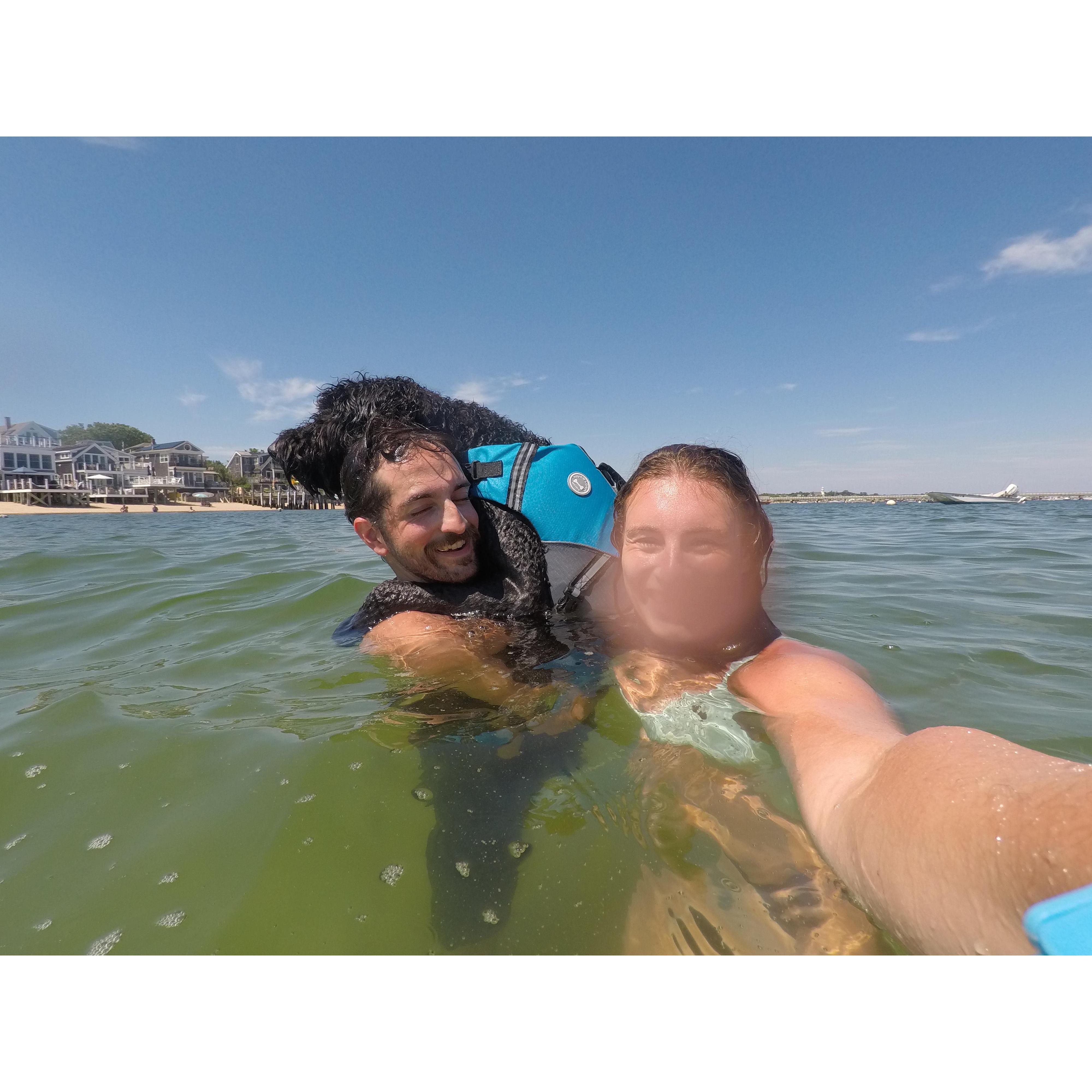 During the pandemic we lived in Provincetown, on the tip of Cape Cod, for the summer. There was a sandbar that we would swim to and it was high enough we could stand. Bodhi always joined!
