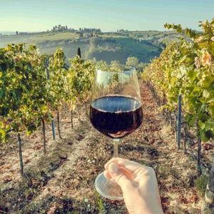 Honeymoon: Archanes wine tasting tour