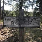 Strawberry to Pine Trail