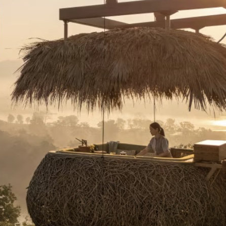 Golden Triangle Tree Top Dining & Elephant Cake Feeding