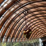 Crystal Bridges Museum of American Art