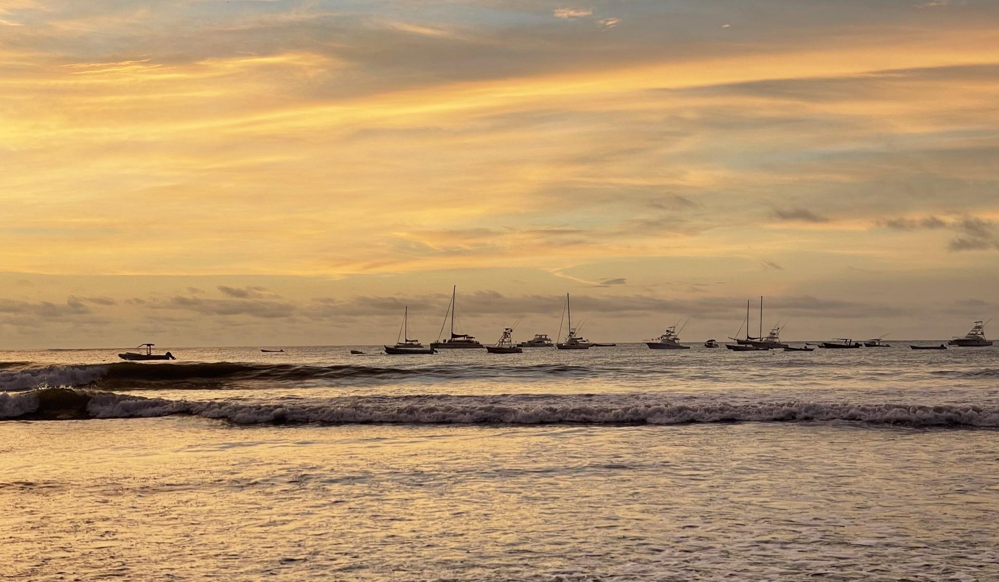 f0002268-a24f-4c6c-b8c2-71007f567678