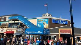 PIER 39