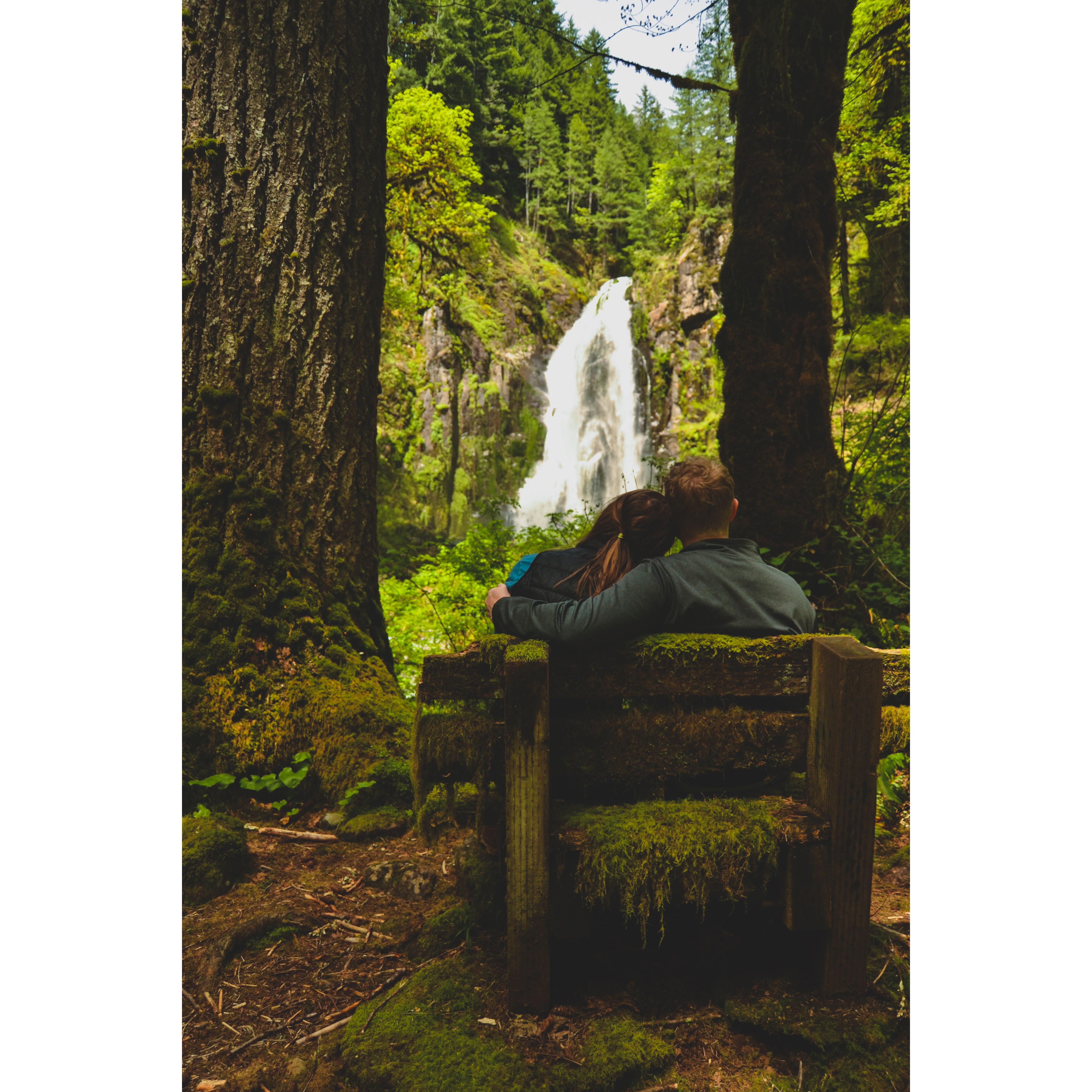 Of the main trail across the creek and through some bushes was this cool mossy, abandoned bench with an awesome waterfall view.