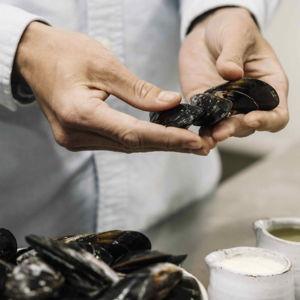 Mussel foraging and cooking class