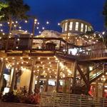 Norwood's Restaurant & Treehouse Bar