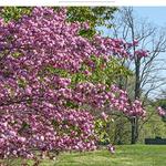 Planting Fields Arboretum State Historic Park