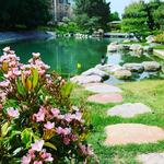 The Japanese Friendship Garden of Phoenix