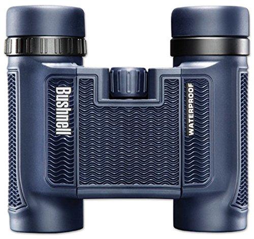 Bushnell 138005 H2O Waterproof/Fogproof Compact Roof Prism Binocular, 8 x 25-mm, Black