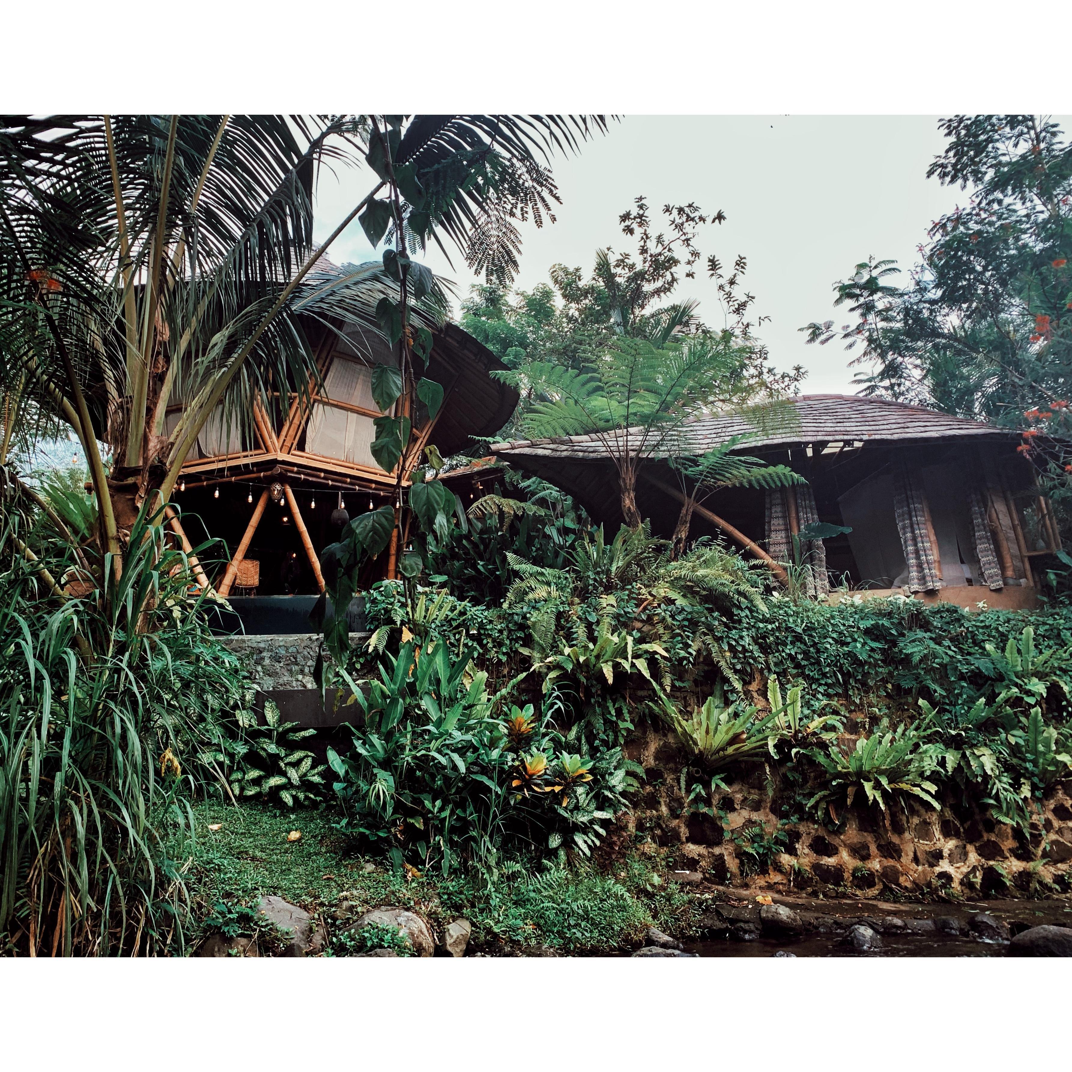 Photo from our airbnb called "The Hideout Beehive" in Selat, about 90 minutes from Ubud. Very secluded, peaceful, relaxing place to stay. Massages were incredible here and so cheap!