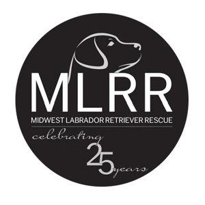 Donate to Midwest Labrador Retriever Rescue
