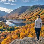 White Mountains