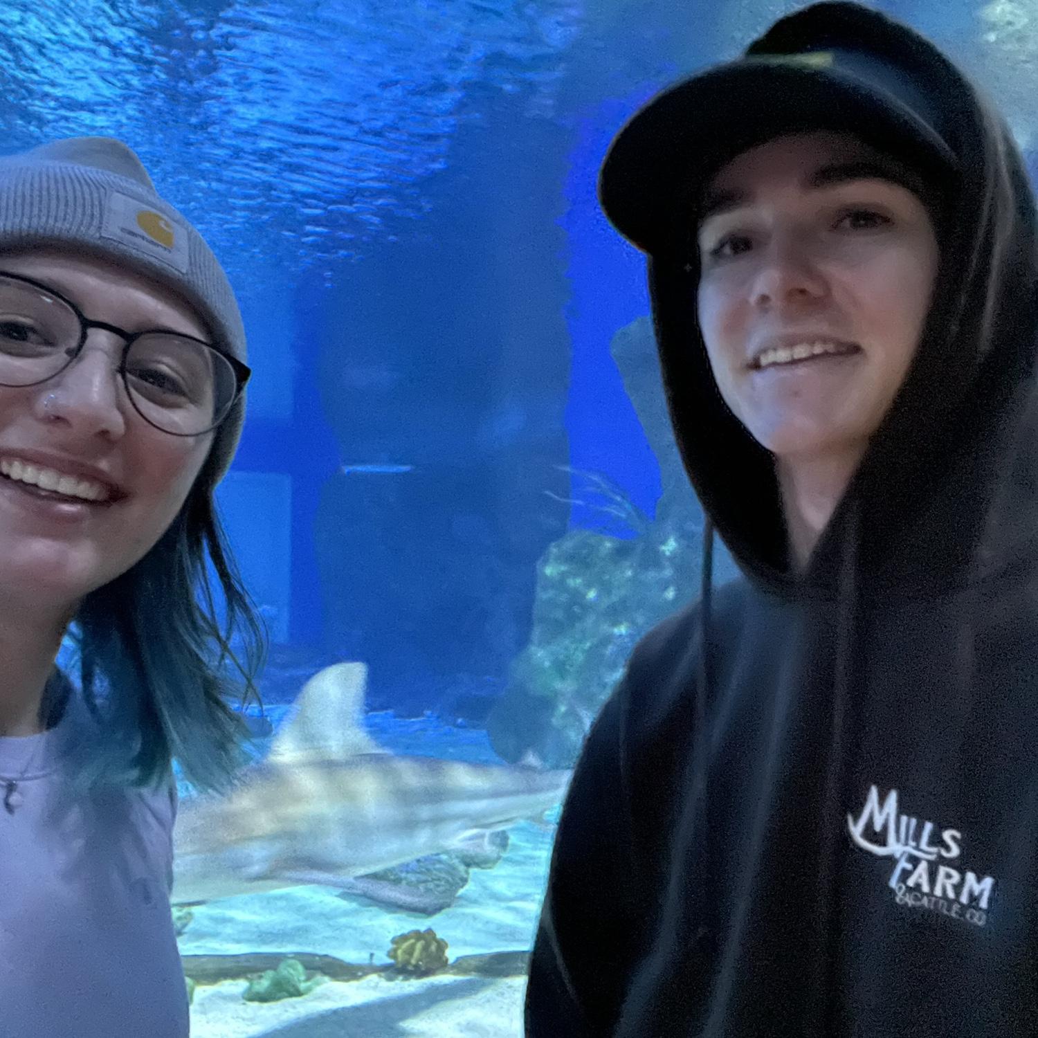 Salt Lake Aquarium