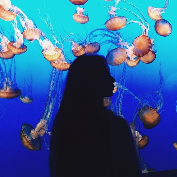 Celebrating 5th year Anniversary at Monterey Bay Aquarium (2014)