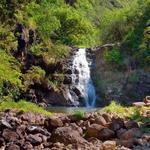 Hike Waimea Valley & Swim in Waterfall