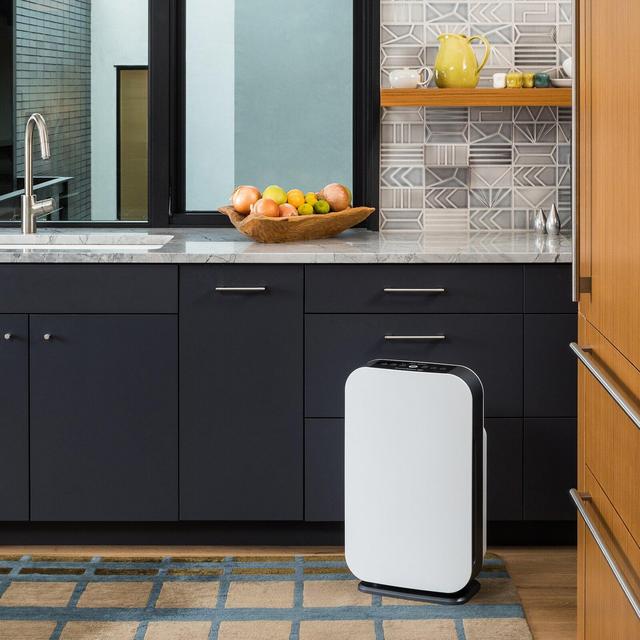 BreatheSmart with HEPA Filter