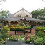 Morning Glory Farm