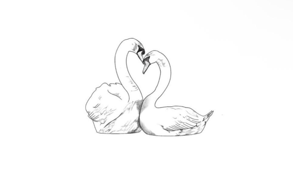 The Wedding Website of Avery Mackey and Cannon Davis