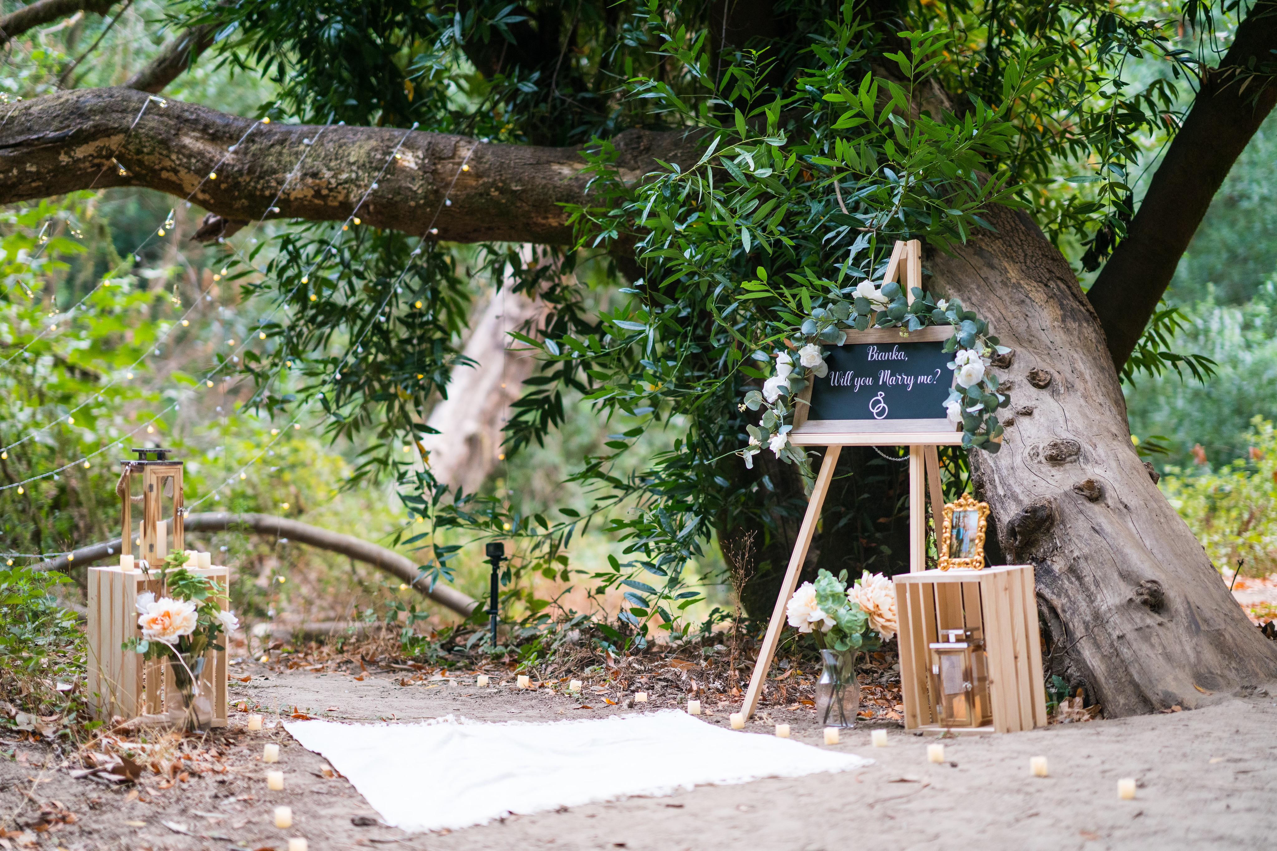 The Wedding Website of Jonathan Popovici and Bianka Altamirano