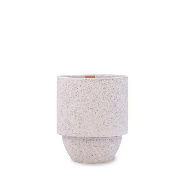 Candle - Glacier National Park