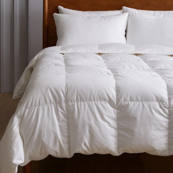 Premium Down Alternative Comforter - White, King, All Season