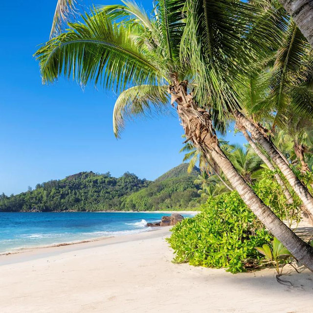 🏝️Honeymoon Fund🏝️