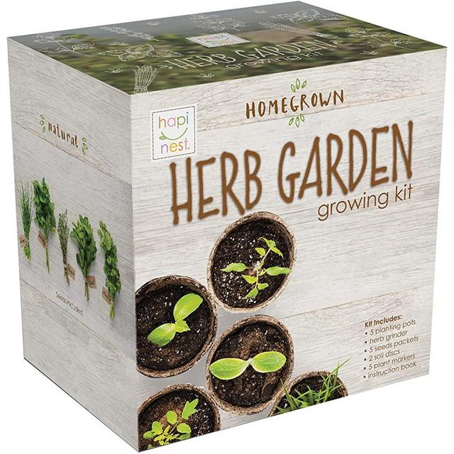 Indoor Herb Garden Growing Seed Starter Kit Gardening Gift - Thyme, Parsley, Chives, Cilantro, Basil, USDA Organic and Non-GMO