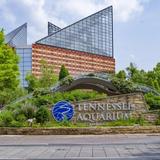 Tennessee Aquarium