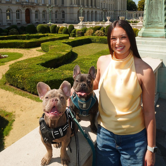 Our Pet Toy/Treats Fund