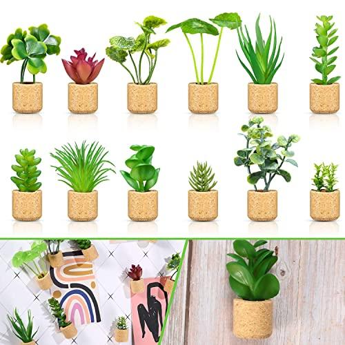 BBTO 12 Pcs Mini Artificial Succulent Plants Refrigerator Magnets for Shelf Kitchen Counter Office Decor Tiny Miniature Desk Plant Decoration (Wall Hanging or Lay Flat)