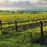 Livermore Valley Wineries