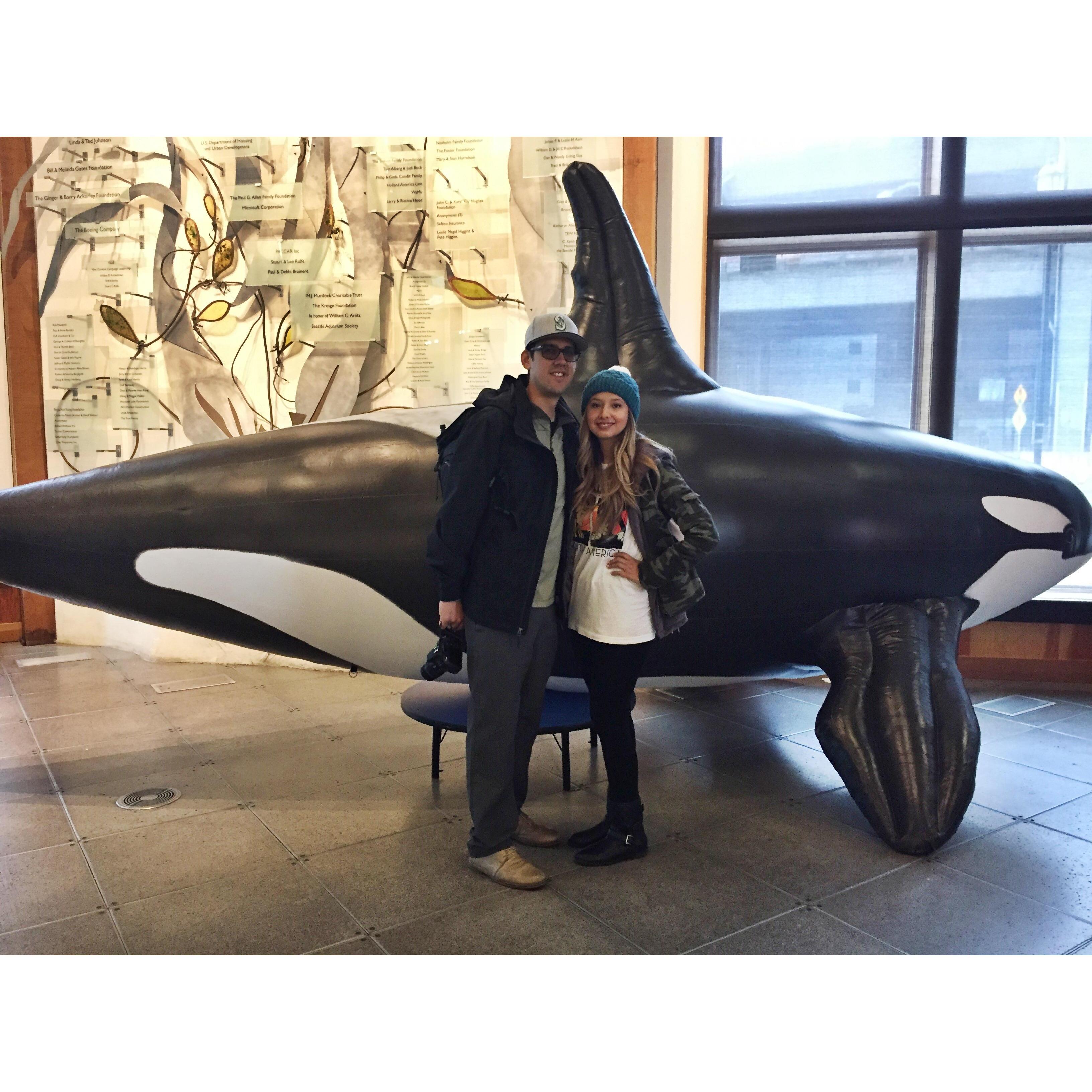 Seattle Aquarium!