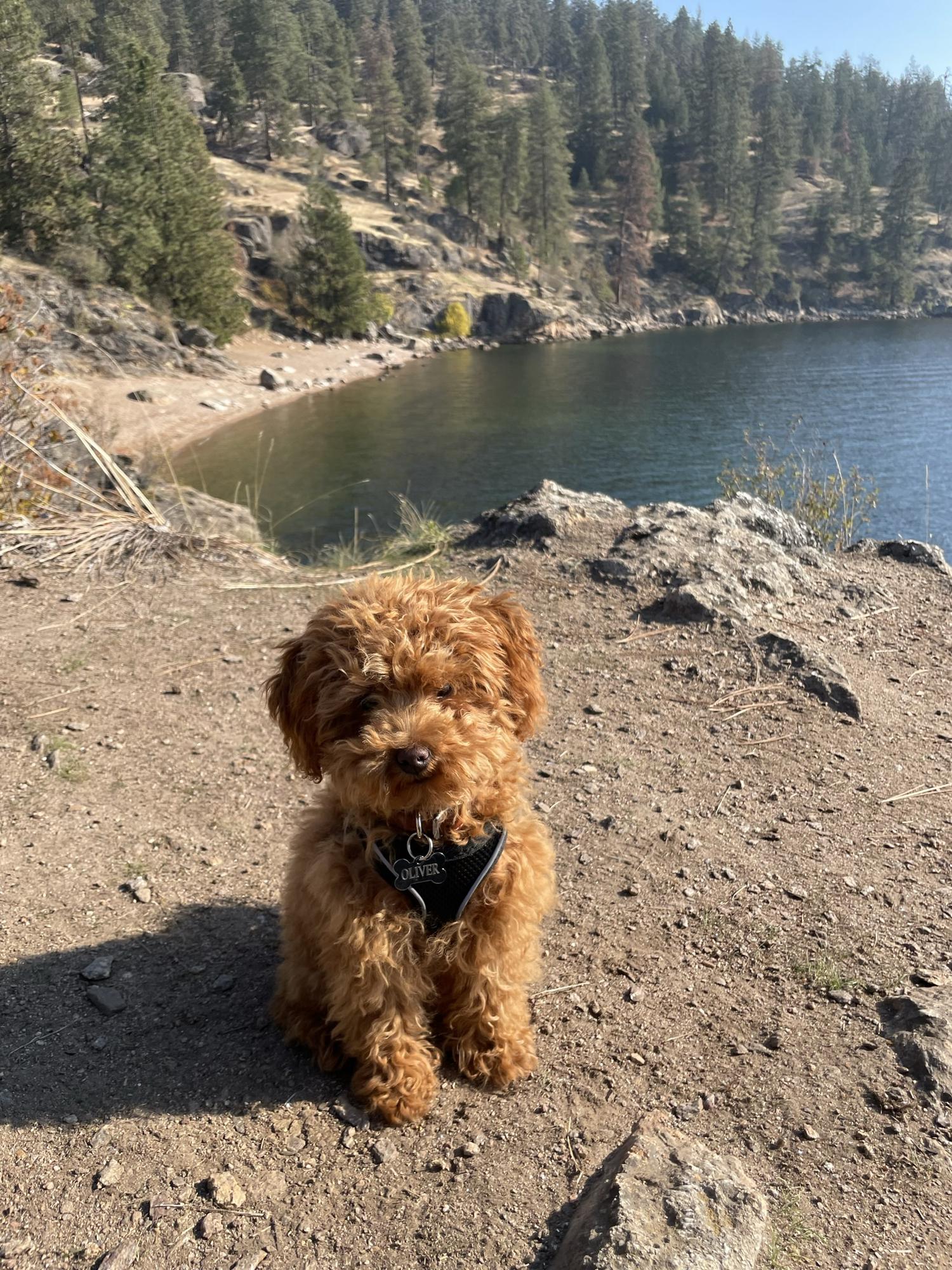 Coeur D'Alene, Idaho.