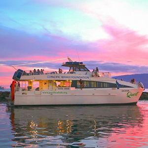 Sunset & Celestial Stargazing Cruise