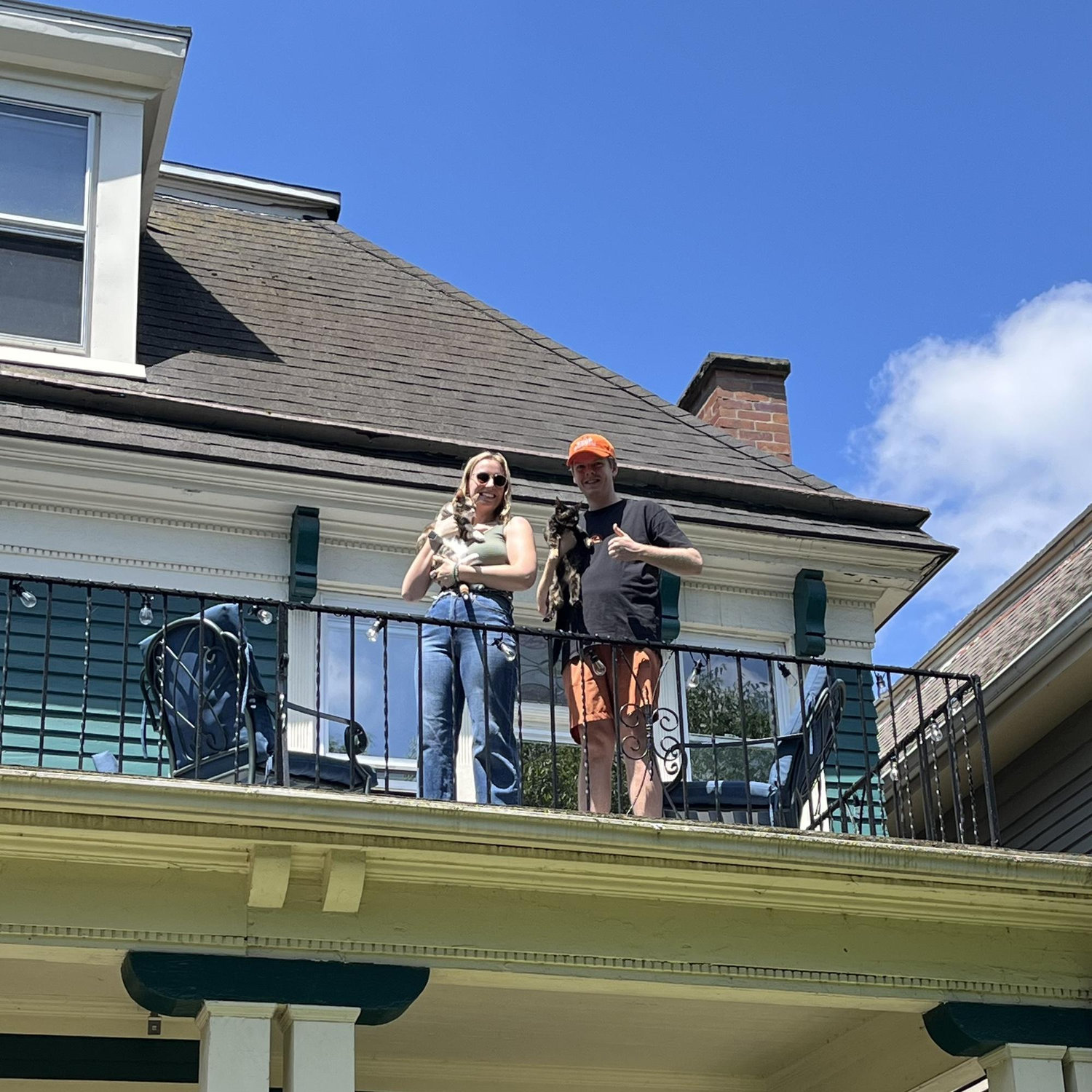 First foster cats in our new apartment · May 2024