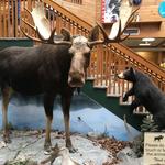 Kittery Trading Post
