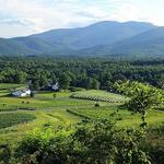 Veritas Vineyards and Winery