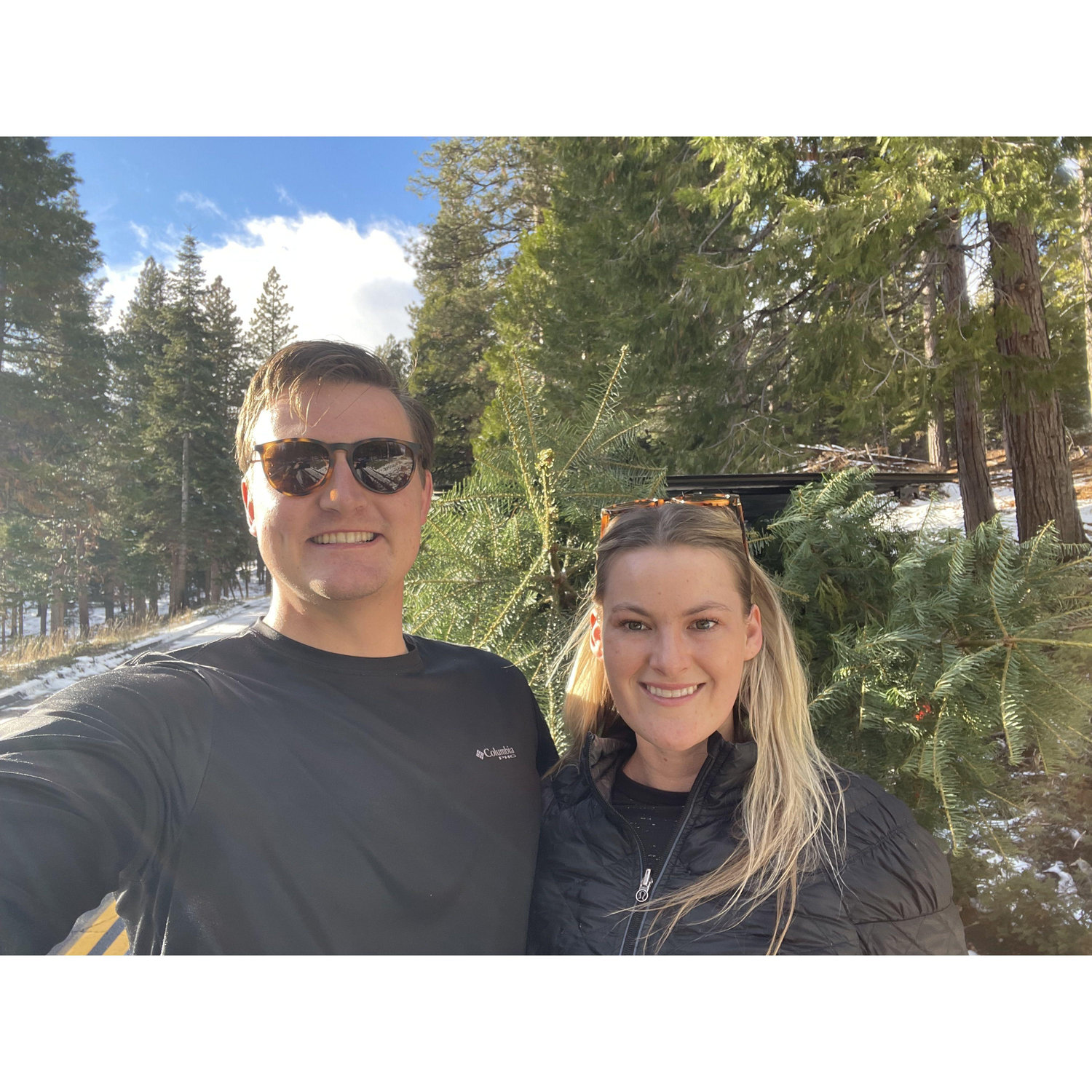 Getting our Christmas Tree!
