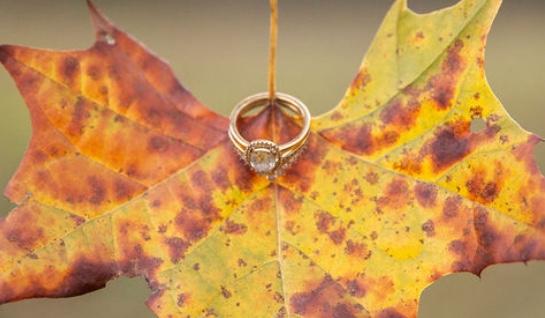 The Wedding Website of Fransheska Betancourt and Dawson Hardin