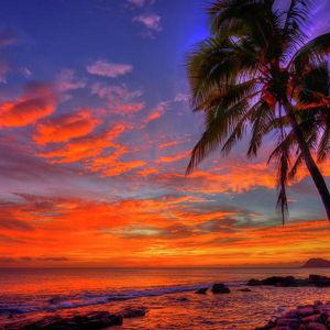 Our Hawaii Getaway!